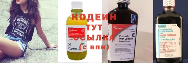 индика Козельск
