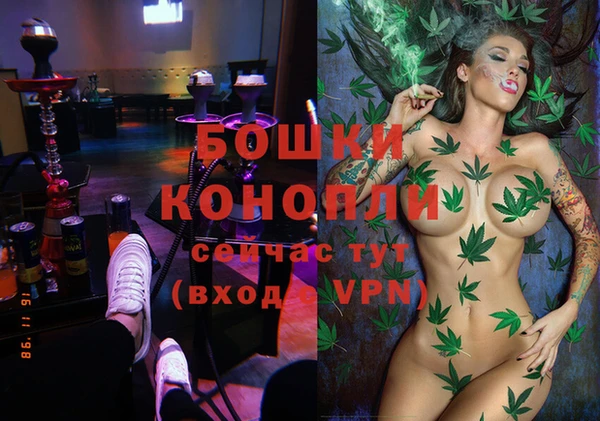 стафф Киреевск
